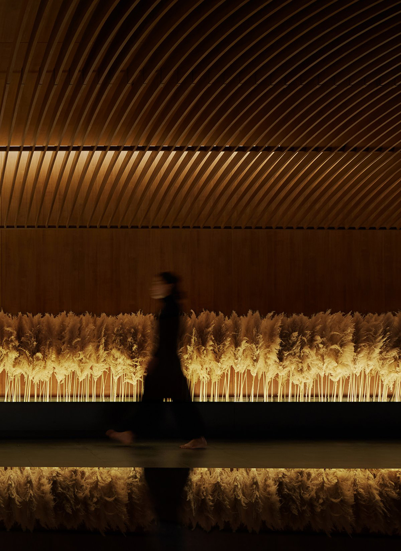  Jiyu SPA